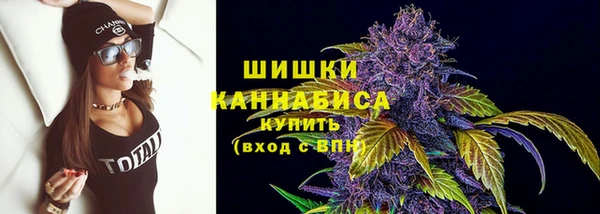 винт Гусев