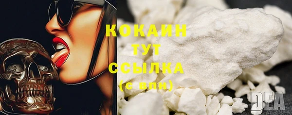 винт Гусев