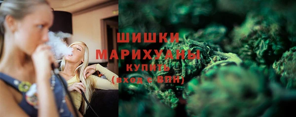 винт Гусев