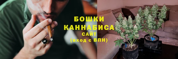 твердый Гусиноозёрск