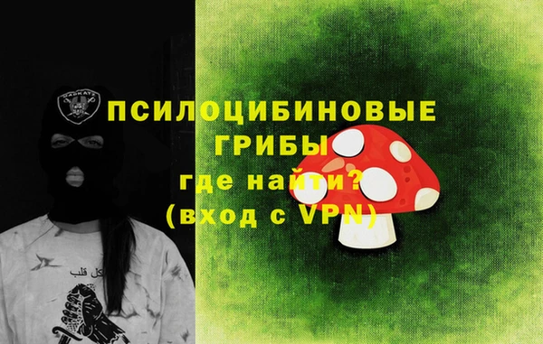 твердый Гусиноозёрск
