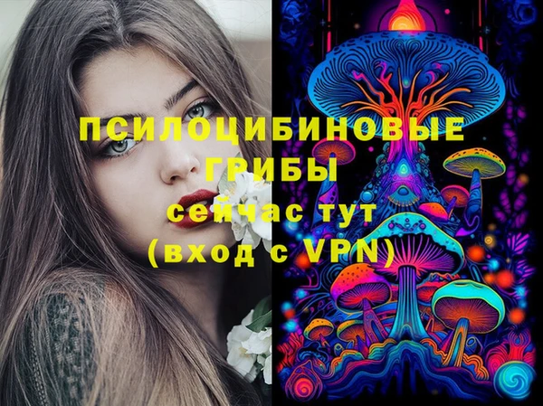 МДПВ Гусь-Хрустальный