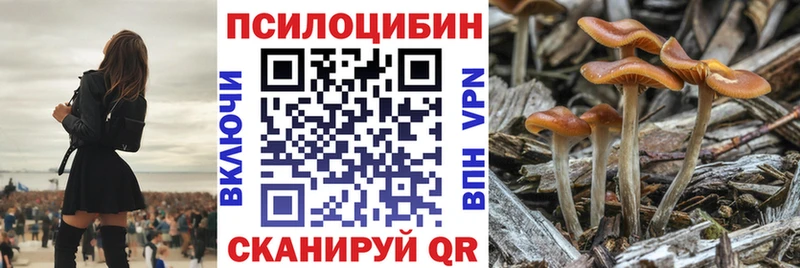 Псилоцибиновые грибы Psilocybine cubensis  Купить  Кораблино 